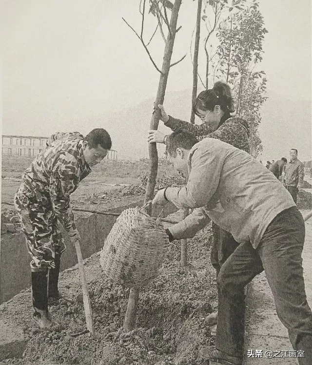 高手过招！五大省市美术联考高分(fēn)卷整合，看完后你还敢偷懒吗？